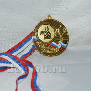 Медаль большая золотая