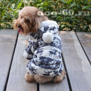 Домашний теплый костюм для собаки